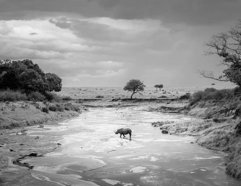 © Fiona Stappmanns, Germany, Commended, Open Competition, Natural World & Wildlife, 2026 Sony World Photography Awards